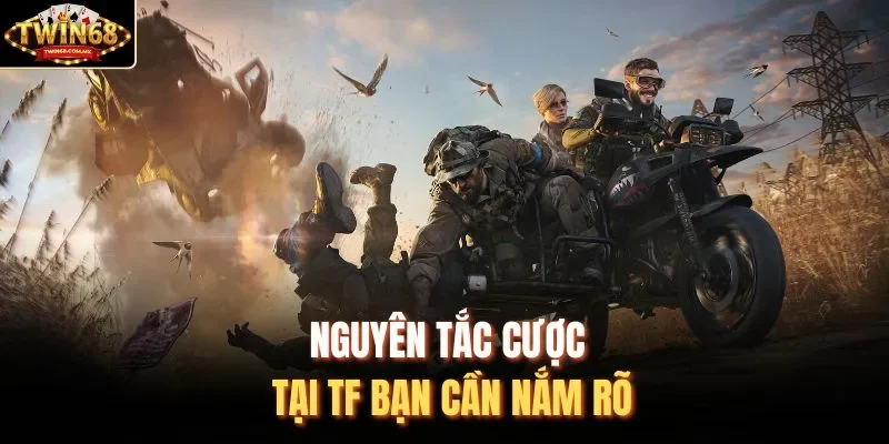 Nguyên tắc cược tại TF bạn cần nắm rõ