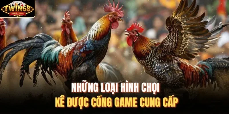 Những loại hình chọi kê được cổng game cung cấp